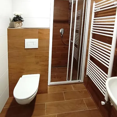 U Provaznika Guest house Zdikov