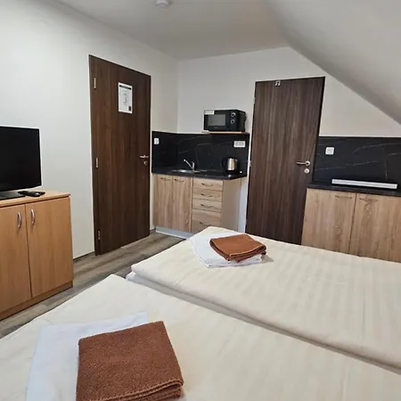U Provaznika Guest house Zdikov
