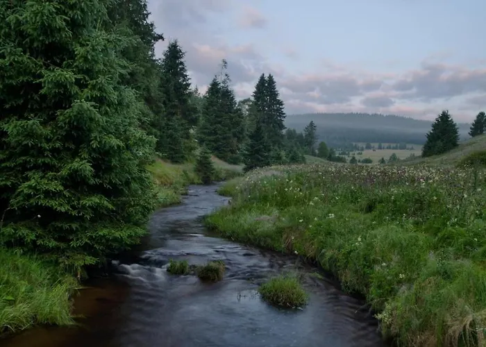 Penzion U Provazníka Zdíkov